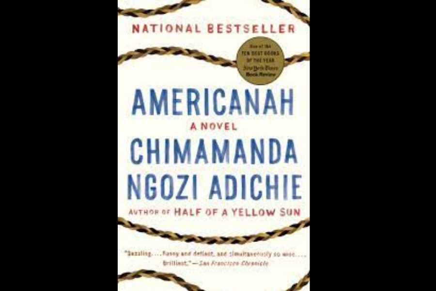 Americanah book