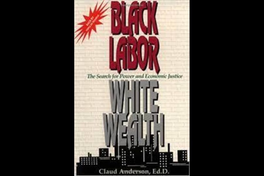 Black Labor, White Wealth : The Search for Power and Economic Justice